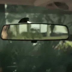 Rétroviseur panoramique intérieur - Anti-éblouissement